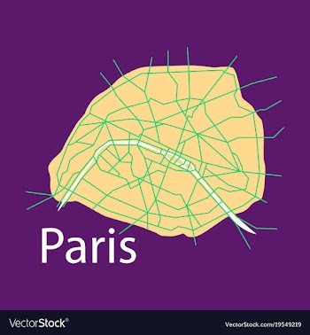 Flat urban city map of paris france vector image