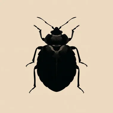 Flat Vector Silhouette of a Bed Bug Flat Vector Silhouette of a Bed Bug