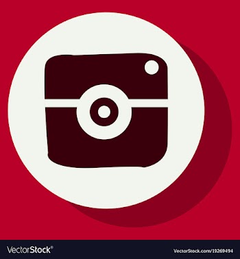Flat web icon of modern lineart camera digital vector image