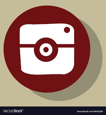 Flat web icon of modern lineart camera digital vector image