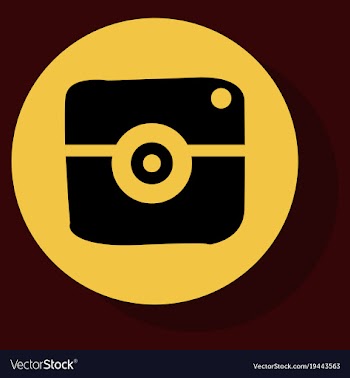 Flat web icon of modern lineart camera digital vector image