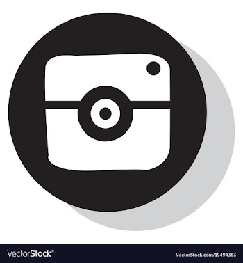 Flat web icon of modern lineart camera digital vector image