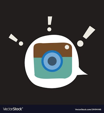 Flat web icon of modern lineart camera digital vector image