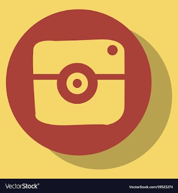 Flat web icon of modern lineart camera digital vector image