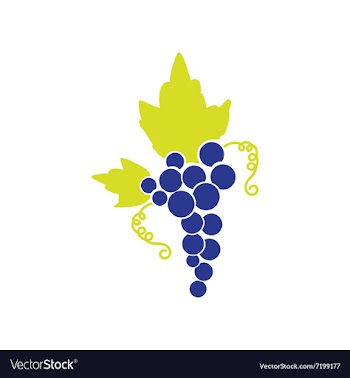 Flat web icon on white background bunch of grapes vector image