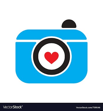 Flat web icon on white background camera vector image
