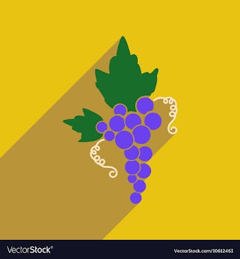 Flat web icon with long shadow bunch of grapes vector image