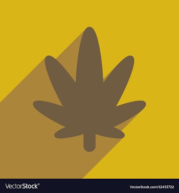 Flat web icon with long shadow cannabis vector image