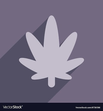 Flat web icon with long shadow cannabis vector image