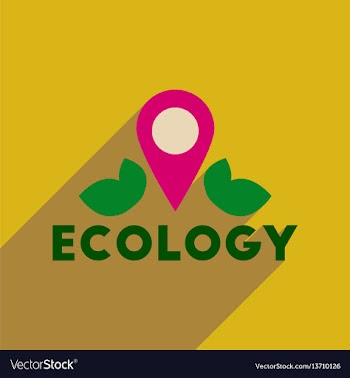 Flat web icon with long shadow eco symbol vector image