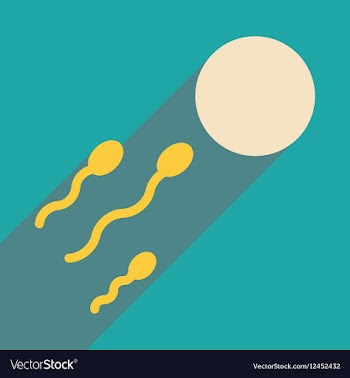 Flat web icon with long shadow egg sperm vector image