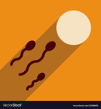 Flat web icon with long shadow egg sperm vector image