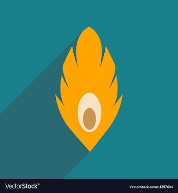 Flat web icon with long shadow Peacock feather vector image