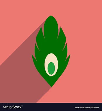 Flat web icon with long shadow Peacock feather vector image