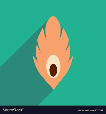 Flat web icon with long shadow Peacock feather vector image
