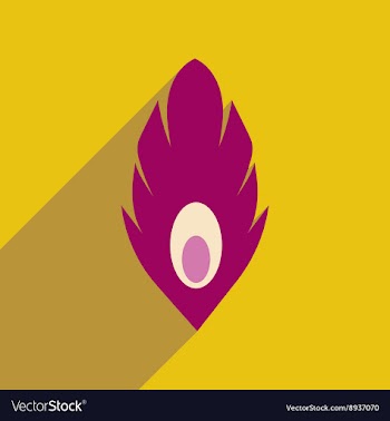 Flat web icon with long shadow Peacock feather vector image