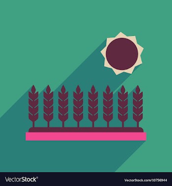 Flat web icon with long shadow Wheat field vector image