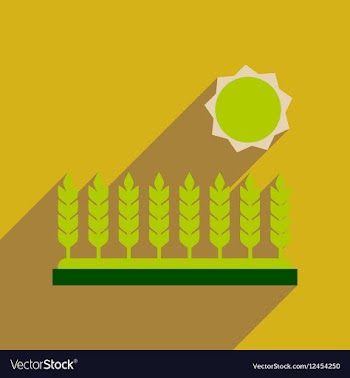 Flat web icon with long shadow Wheat field vector image