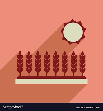 Flat web icon with long shadow Wheat field vector image