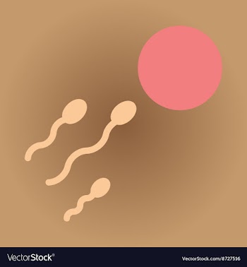 Flat web icon with shadow egg sperm vector image