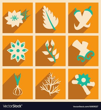 Flat with shadow concept and mobile application vector image