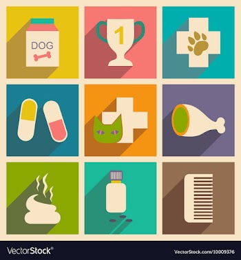 Flat with shadow concept and mobile application vector image