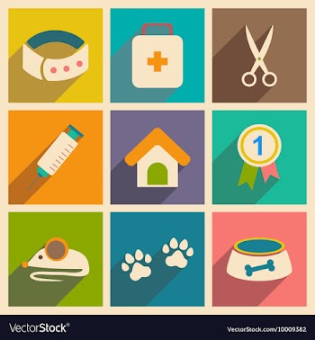 Flat with shadow concept and mobile application vector image