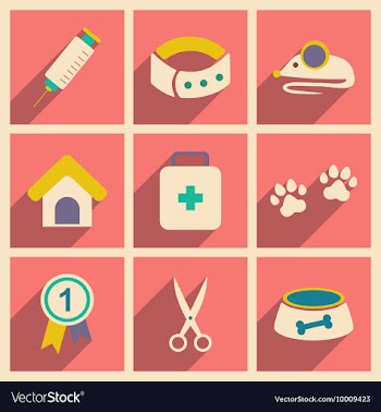 Flat with shadow concept and mobile application vector image