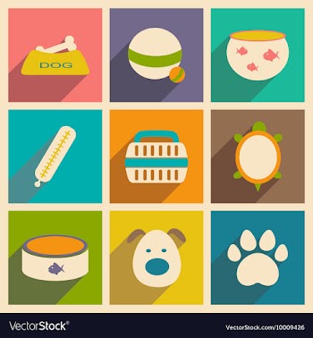 Flat with shadow concept and mobile application vector image