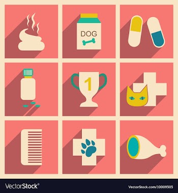 Flat with shadow concept and mobile application vector image