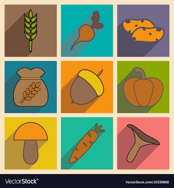 Flat with shadow concept and mobile application vector image