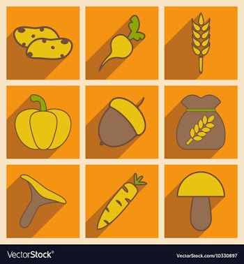 Flat with shadow concept and mobile application vector image