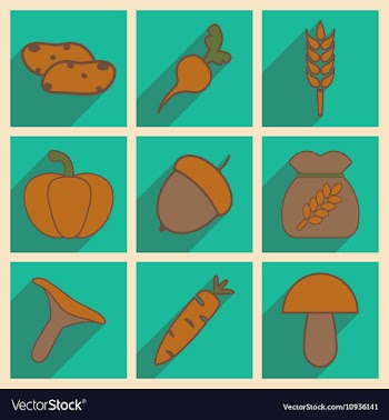 Flat with shadow concept and mobile application vector image