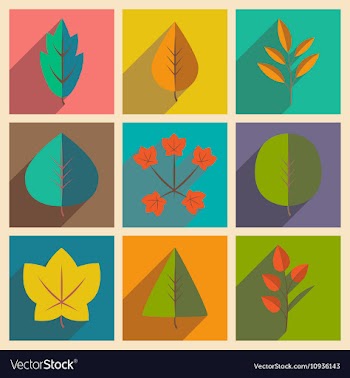 Flat with shadow concept and mobile application vector image