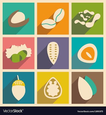 Flat with shadow concept and mobile application vector image