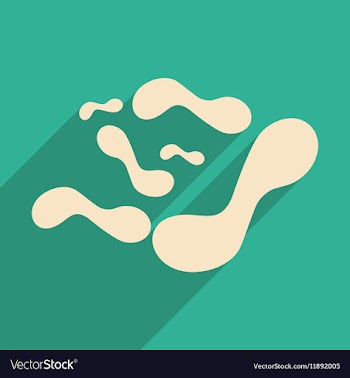 Flat with shadow concept and mobile application vector image