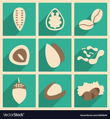 Flat with shadow concept and mobile application vector image