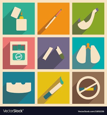 Flat with shadow concept and mobile application vector image