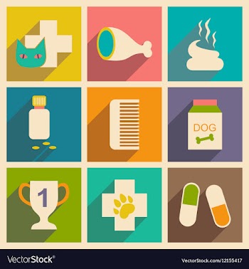 Flat with shadow concept and mobile application vector image