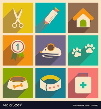 Flat with shadow concept and mobile application vector image