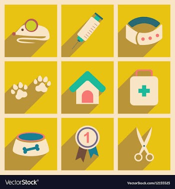 Flat with shadow concept and mobile application vector image