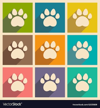 Flat with shadow concept and mobile application vector image