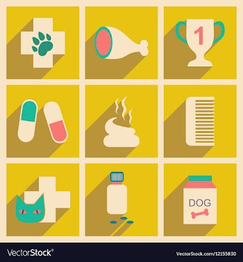 Flat with shadow concept and mobile application vector image