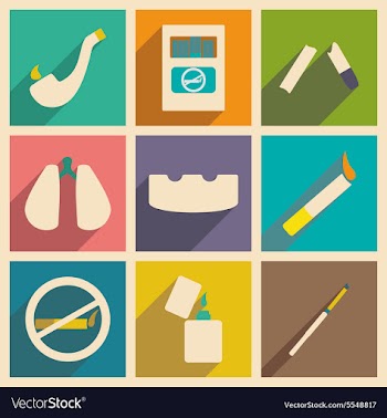 Flat with shadow concept and mobile application vector image