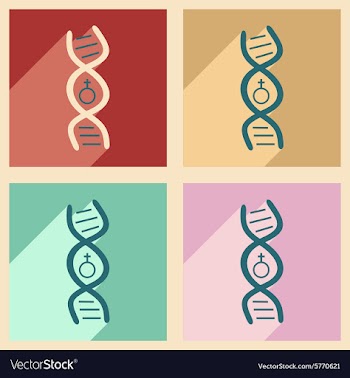 Flat with shadow concept and mobile application vector image