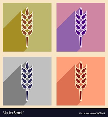 Flat with shadow concept and mobile application vector image