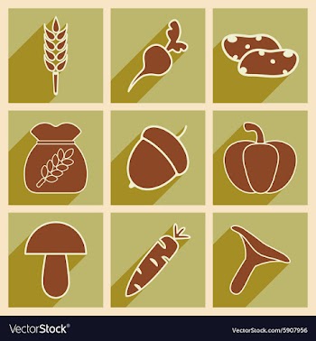 Flat with shadow concept and mobile application vector image