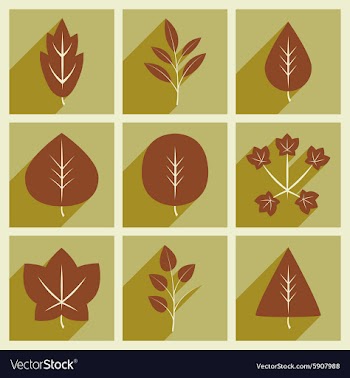 Flat with shadow concept and mobile application vector image