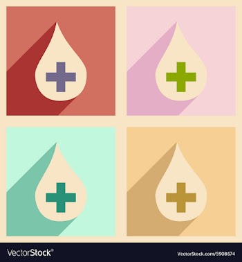 Flat with shadow concept and mobile application vector image