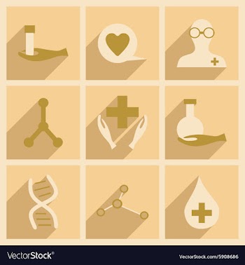Flat with shadow concept and mobile application vector image